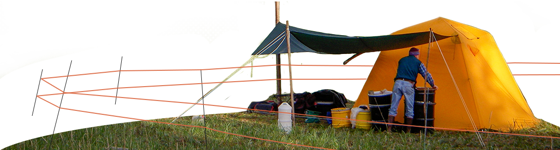 Tent with BearGuard
